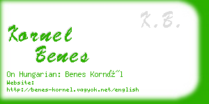 kornel benes business card